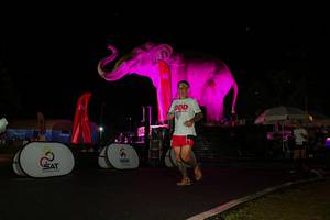 BIB: 
                            <button type="button" onclick="openModal(26543455)" class="btn btn-primary btn-sm float-right btn-popup" data-toggle="modal" data-target=".modal-high-quality">
                        <i class="fas fa-shopping-cart"></i> Add to Cart
                    </button>
                                            <button type="button" onclick="isThisMe(26543455, true)" class="btn btn-success btn-sm float-right btn-popup btn-isme hidden" data-toggle="tooltip" data-placement="bottom" title="นี่คือรูปของคุณใช่ไหม คลิกที่นี่เพื่อเอาเข้าอัลบั้ม">
                        <i class="fas fa-plus"></i> Add to album
                    </button>
                    <button type="button" onclick="isThisMe(26543455, false)" class="btn btn-warning btn-sm float-right btn-popup btn-isnotme hidden">
                        <i class="fas fa-ban"></i> Remove from album
                    </button>